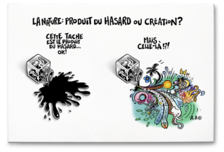 Tableau "Hasard ou création" 60X40X2