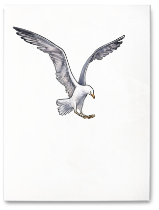 Tableau "Mouette" 18x24x2